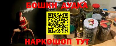 индика Гусев
