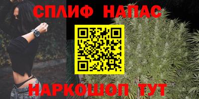 индика Гусев
