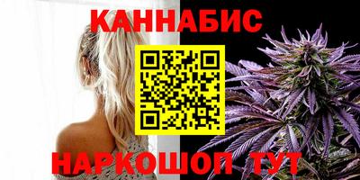 индика Гусев