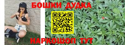индика Гусев