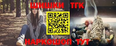 индика Гусев