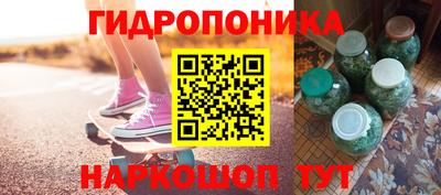 индика Гусев