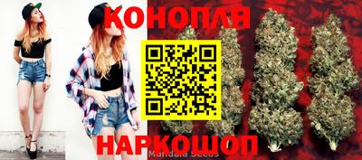 индика Гусев