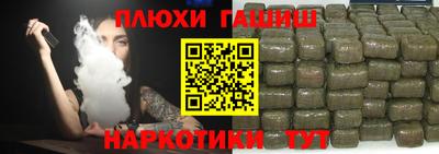 индика Гусев