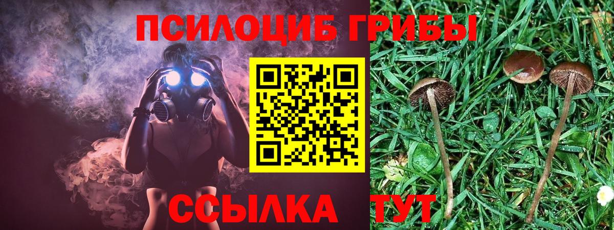 Галлюциногенные грибы мухоморы Искитим