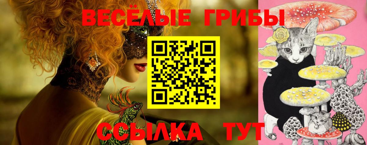 Искитим  закладка  Вход с VPN  Псилоцибиновые грибы мицелий 